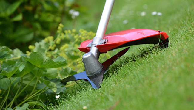 Debroussailleuse-rouen-76