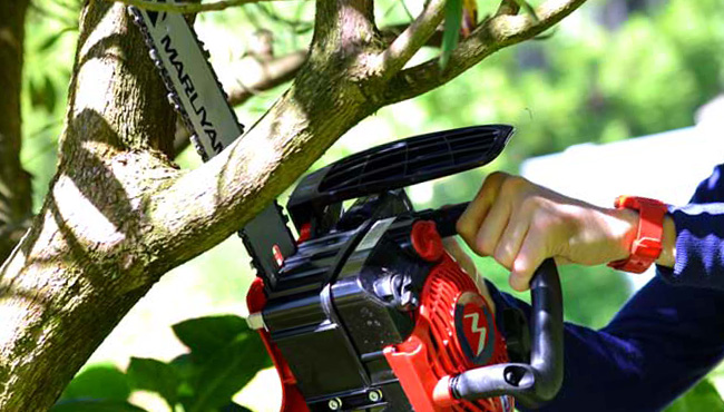 Tronconneuse-rouen-76