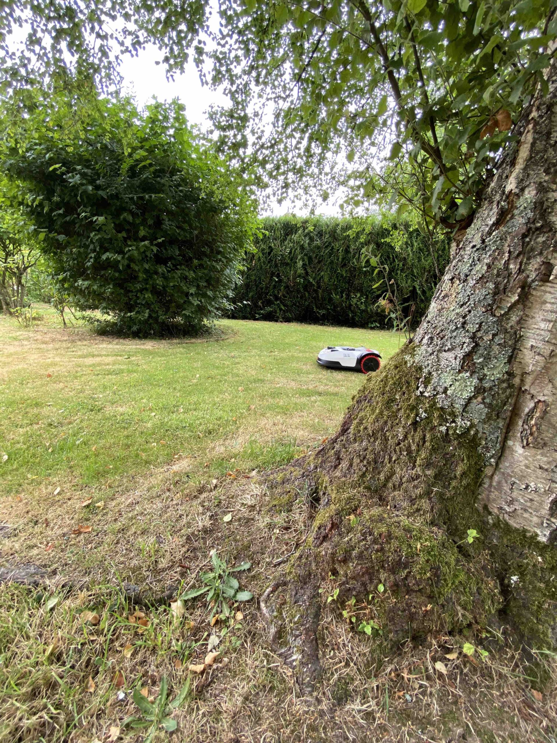 roboto-tondeuse-rouen-dupressoir-motoculture-pas-cher-76-rouen